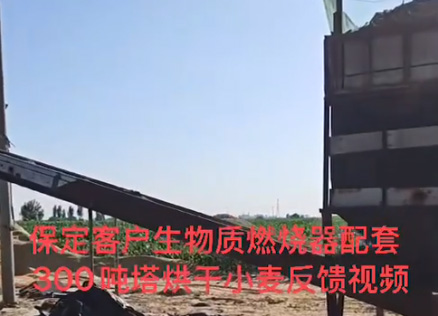 
保定客户生物质燃烧器配套300吨塔烘干小麦反馈视频